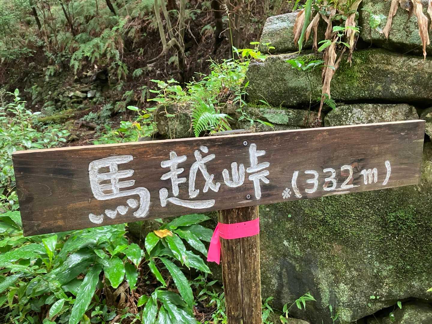 馬越峠登り口-馬越峠-天狗倉山-天狗倉山東峰-水地峠-水地 縦走コースの写真