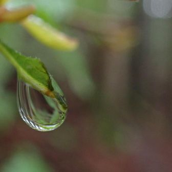 湿度が高くて息が苦しい。
雨はそのうち止むという期待。