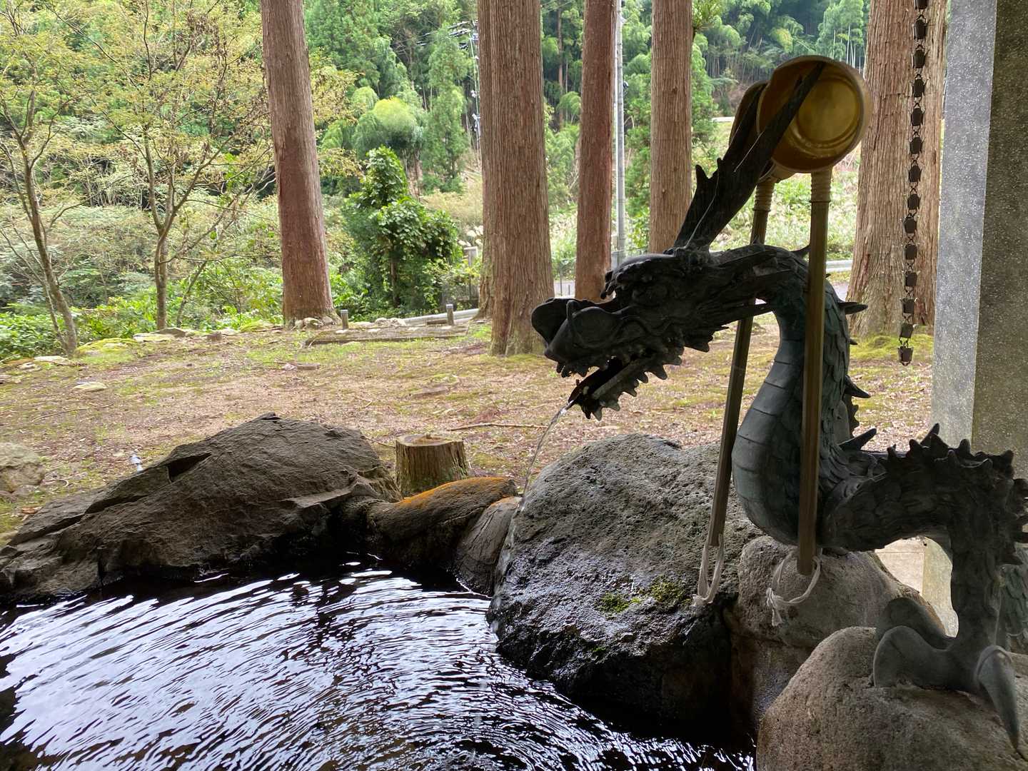 だぁれ？・・・神社の神聖な威厳が・・・。
でも、元気でた！
今日もありがとうございました。