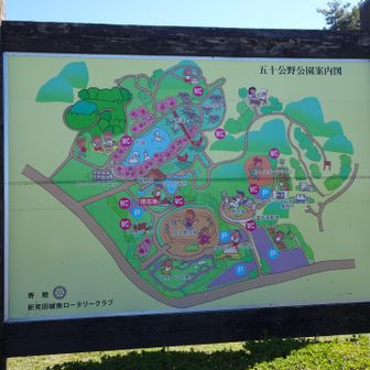 五十公野公園内を散策です