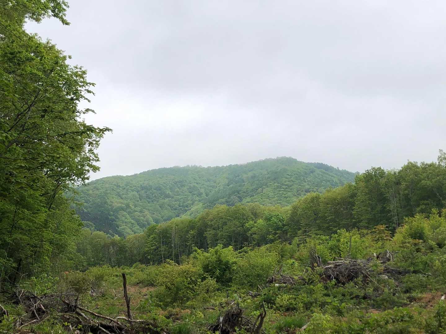 これから登る蛤山。