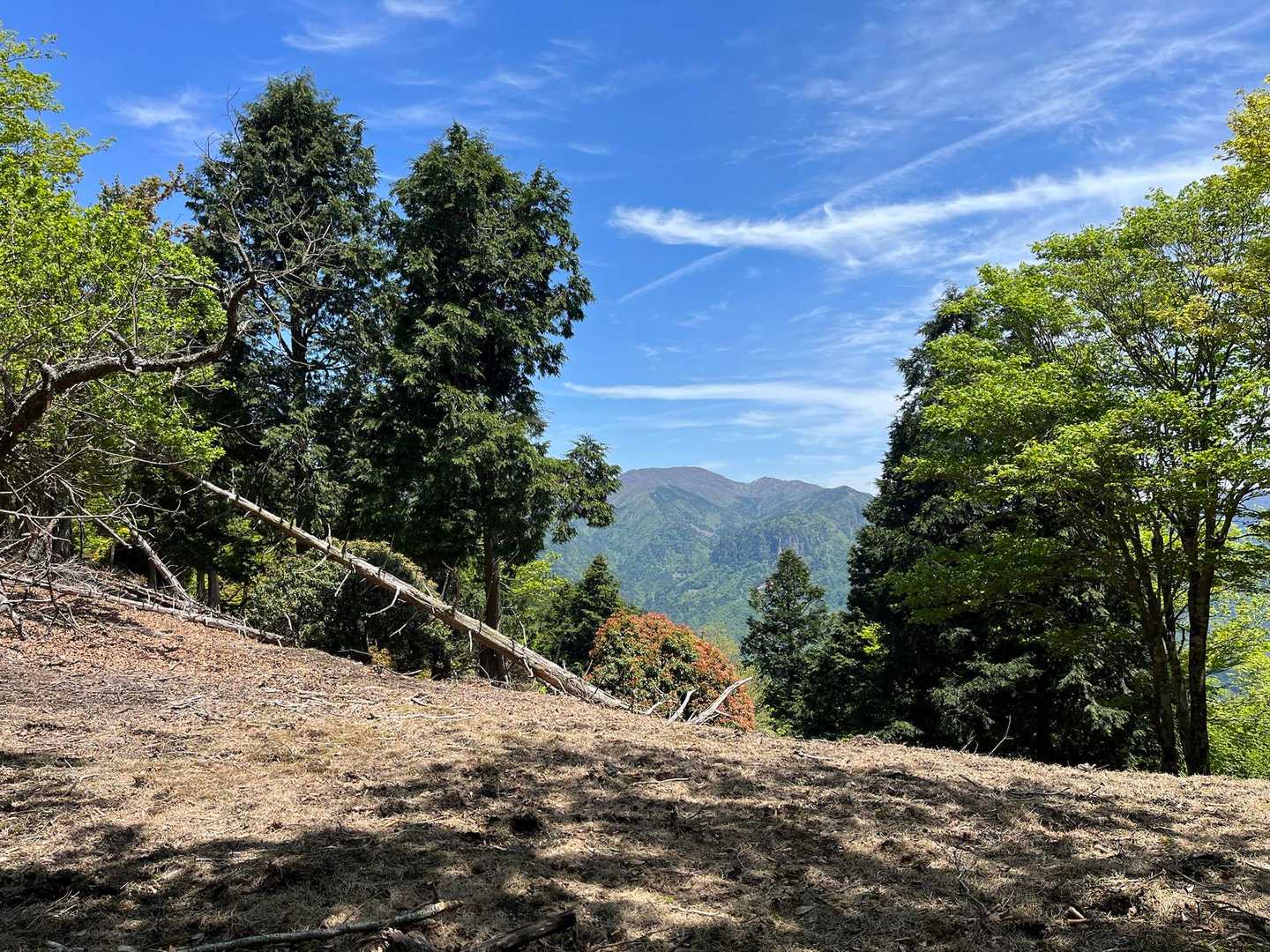 尾根は素晴らしい