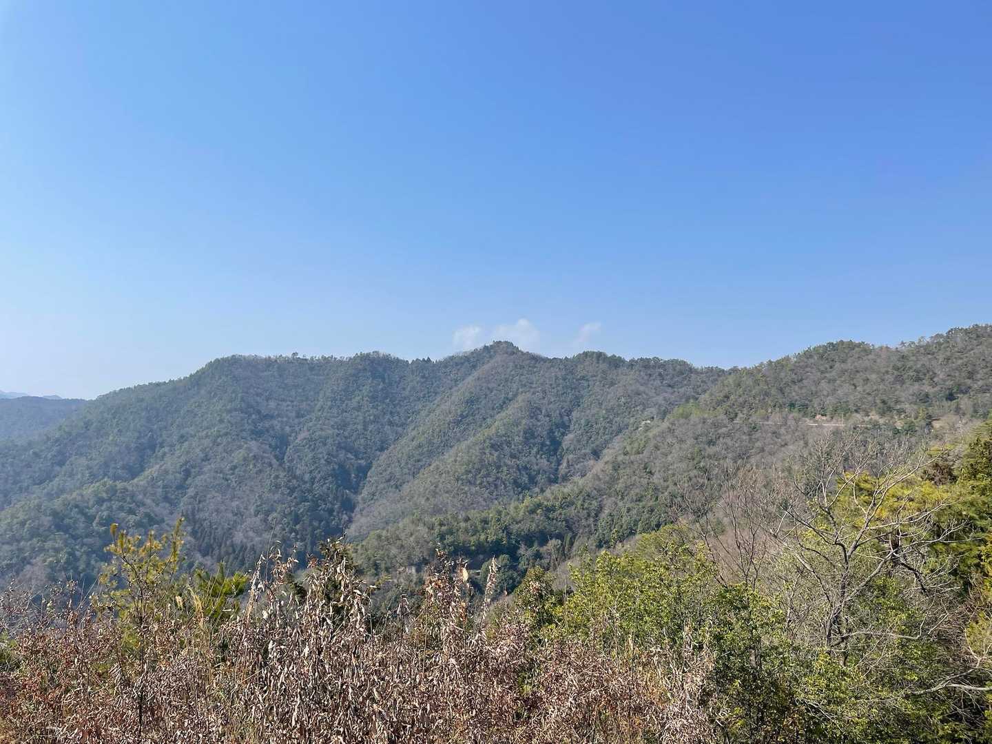 360度見渡せます