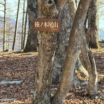 さらに登って榛ノ木尾山　ここから六ツ石山まではなだらかになる