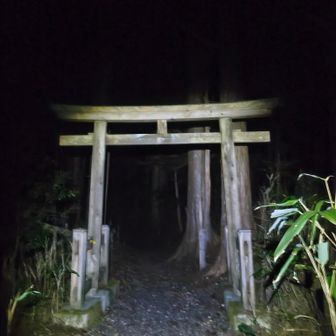 田代の諏訪神社からスタート
鳥居をくぐって山へ⛩️
今日はひとりじゃないのでブラックスタートも安心感あります😙