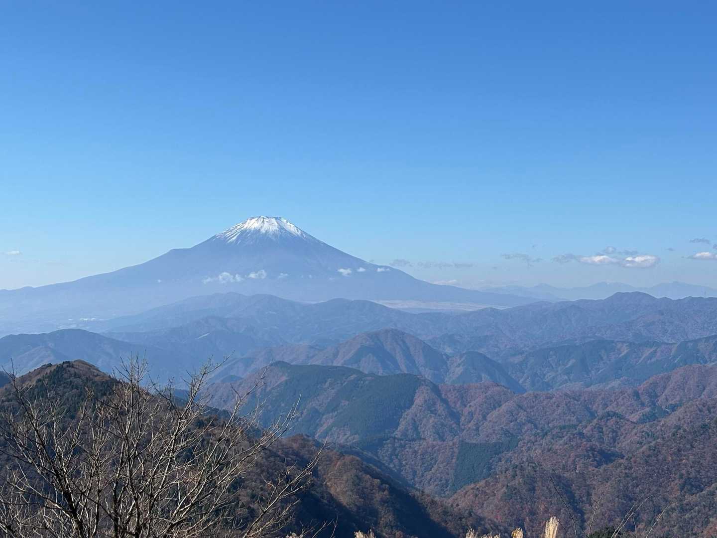 大倉登山口-鍋割山-塔ノ岳 周回コースの写真
