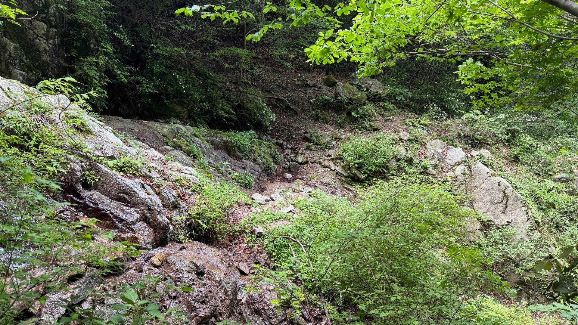 頭巾山登山口-頭巾山-三郡山-つき谷B登山口 周回コースの写真