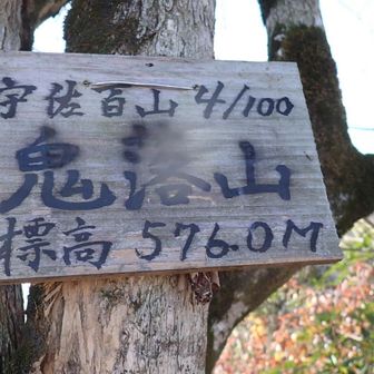 これは宇佐地方に１００ある？。