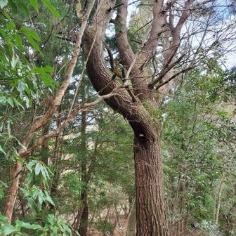 雪山終了。
来てよかった！