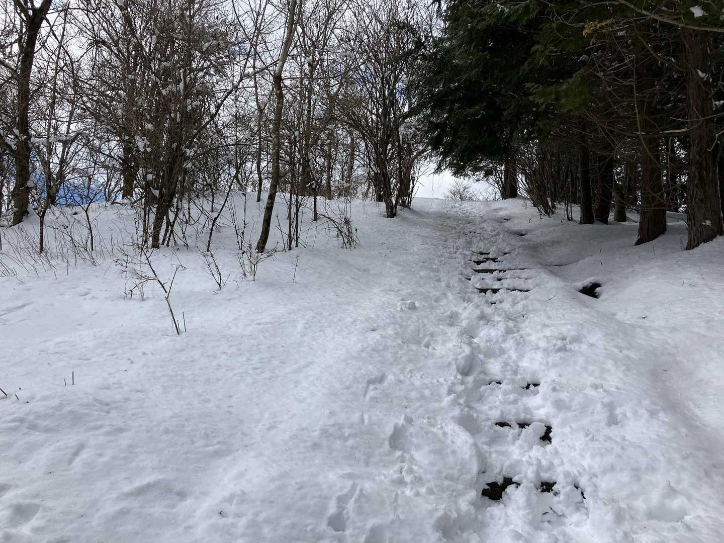 楽々ZONEは小走りねっ