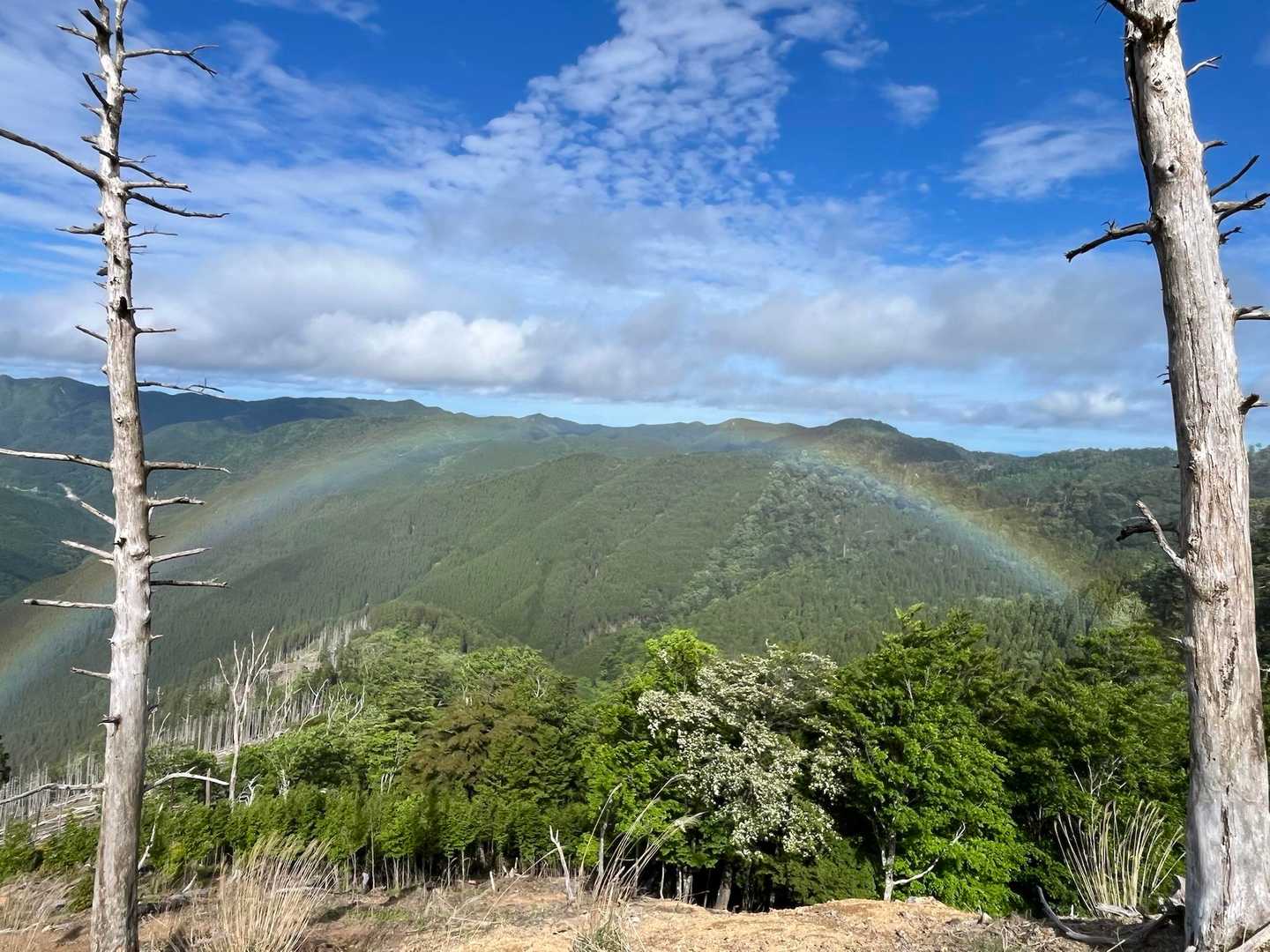 平家山-後平家山-国見岳 往復コースの写真