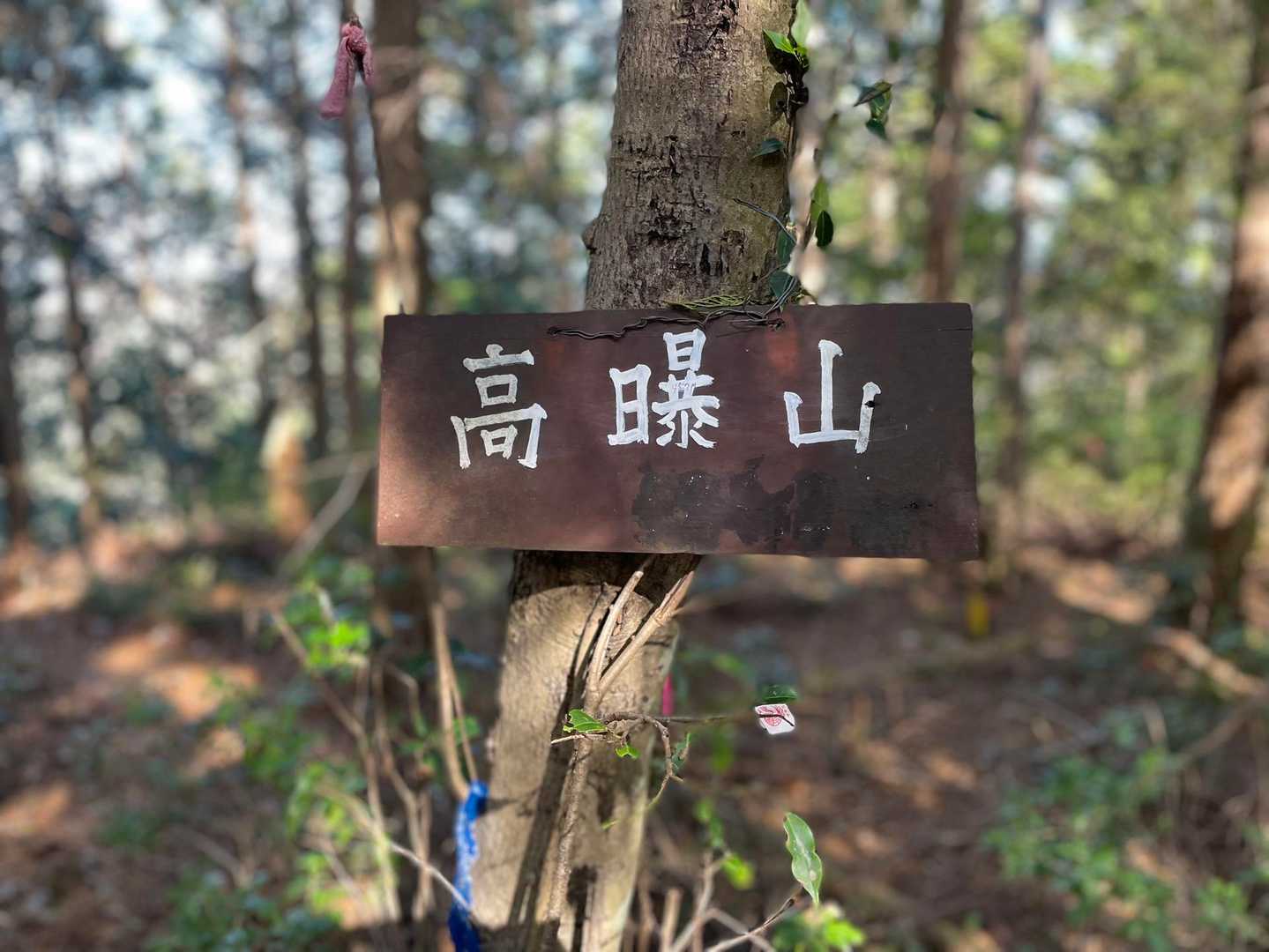 平成山-高曝山 周回コースの写真