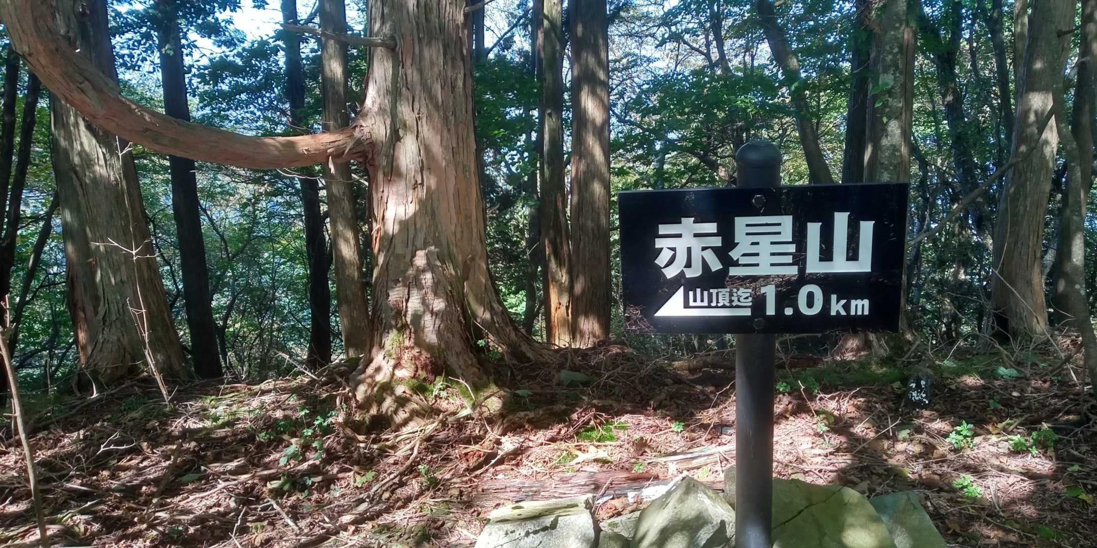 赤星山まであと1km