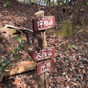 坪相（つばい）峠から、縦走ルートに戻ります。