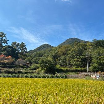 無事に下山
何とか耐えた
トイレへ急ぐ😰

お疲れ山でしたー♪