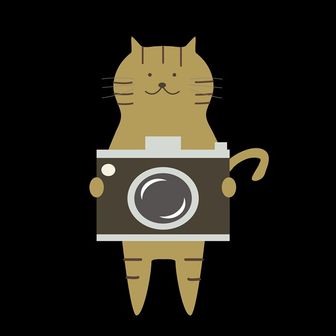カメラねこ