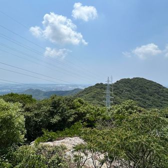 右の白いところが西テラスでした。