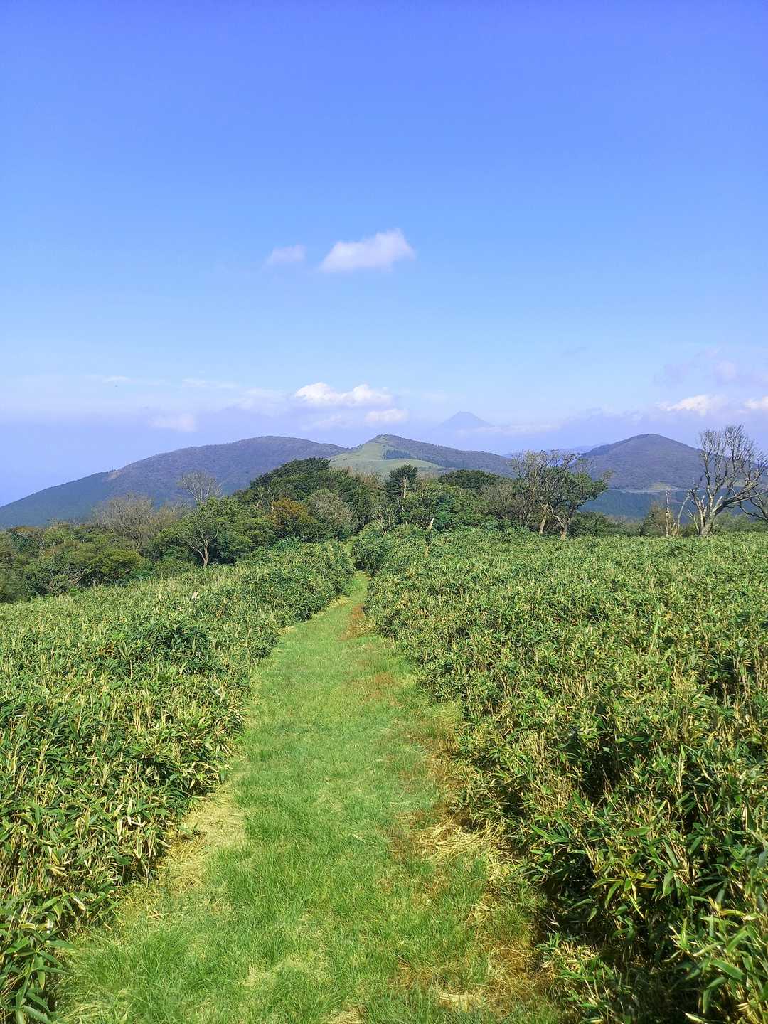 天城山方面、晴天です