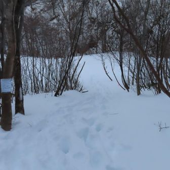 登山口まで下りて来ました～　
まだ明るい🤣　
でも、ここからも長いんだよね💦