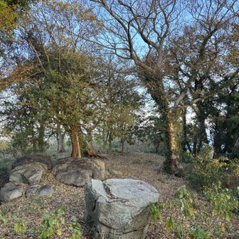大石山⛰️山頂到着❗️