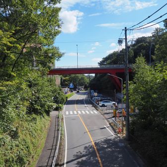 東山百万歩コースの橋を渡ります。