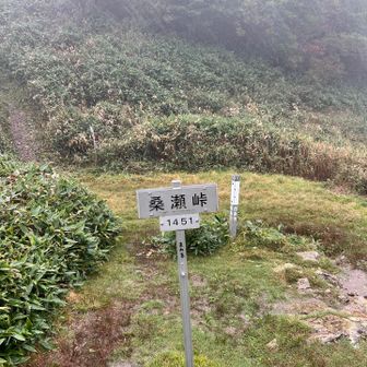 雨雨雨〜🤭ノンストップで下山。