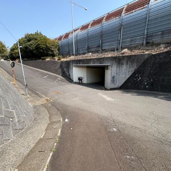 山から降りて鶴巻温泉駅に向かう