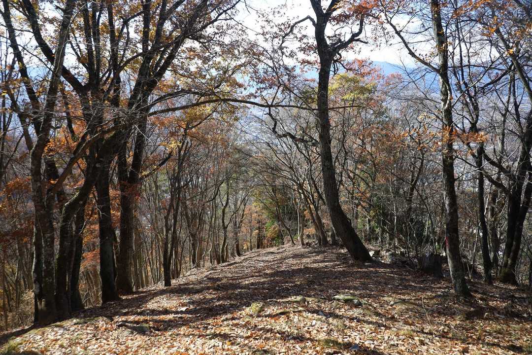 ここからどんどん下る。落ち葉が滑るので滑らしながら。