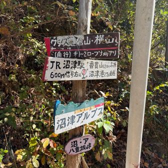 八重坂峠から少し車道沿いを歩きます