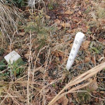 すぐ先に三角点