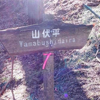 山伏平に到着しました。