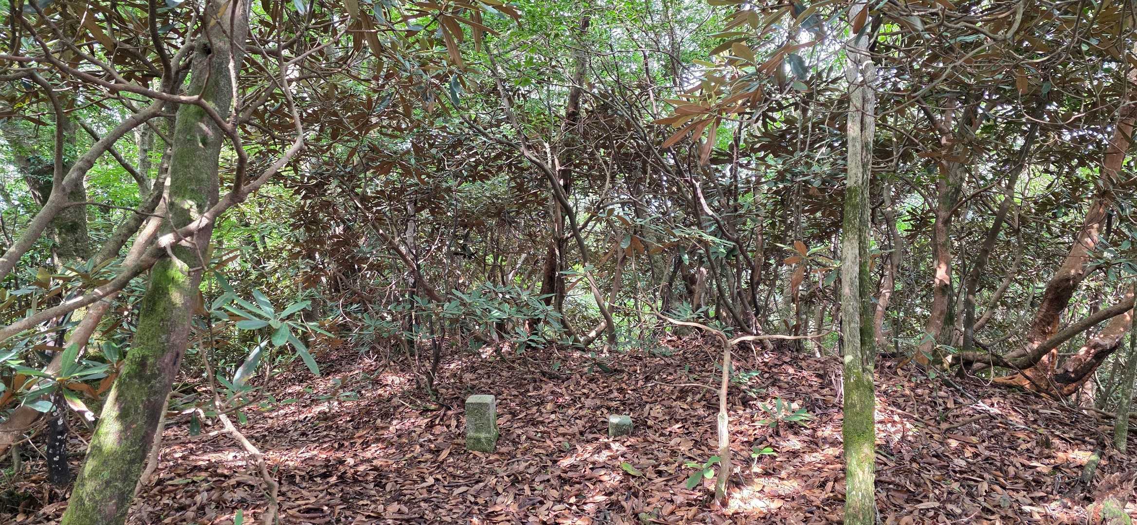 右の小さいのが基準点
■梅が成
等級 :　四等三角点
緯度 :　33.202554861
経度 :　132.62381575
標高 :　1054.0m
COD :　TR44932644901
場所 :　愛媛県宇和島市