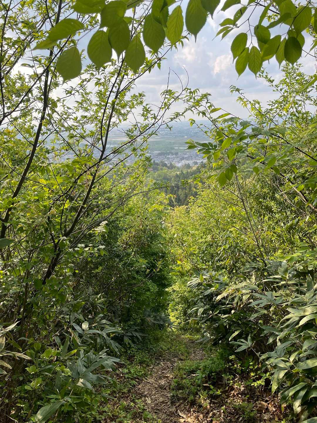 二本松山 周回コースの写真