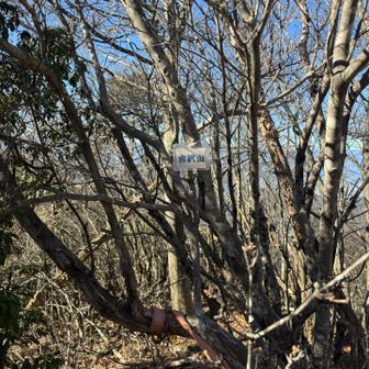 吉沢山
これも小さい！😆