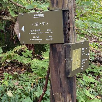 初日は大雪山、沼ノ平へ✨✨