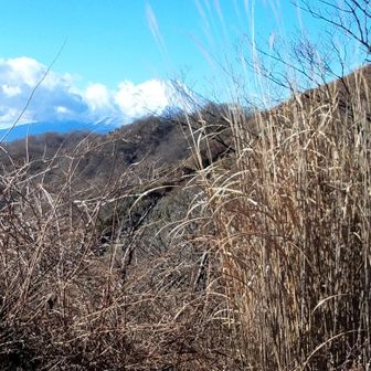 でも1分後には綺麗に見えたよ☺️