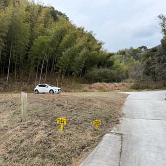 ここに障子ケ岳登山口駐車場がありました🅿️

結構停めれそう！