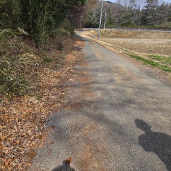 下板橋登山口に下りてきました
ここからは一般道を歩きます