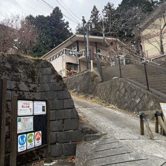 ビジターセンター