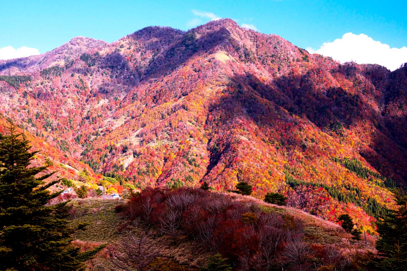 落合峠-落禿-前烏帽子山-寒峰 往復コースの写真