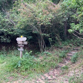 土樋割峠から六甲山頂へ直登します。写真の正面に向かって行くと、六甲山神社（石宝殿）。