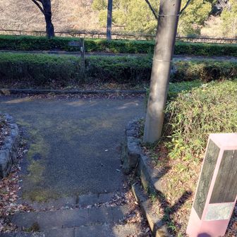 また車道に出ました。
左に進みます。