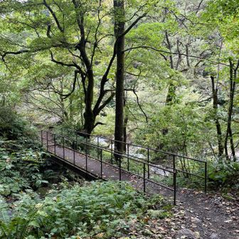 登山口手前の橋に戻ってきました。