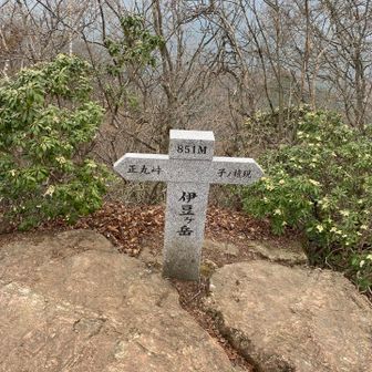 伊豆ヶ岳到着！