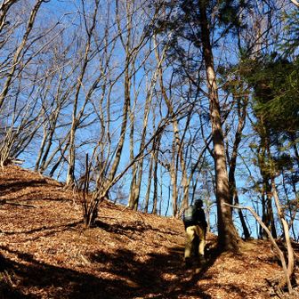 青空に向かって。