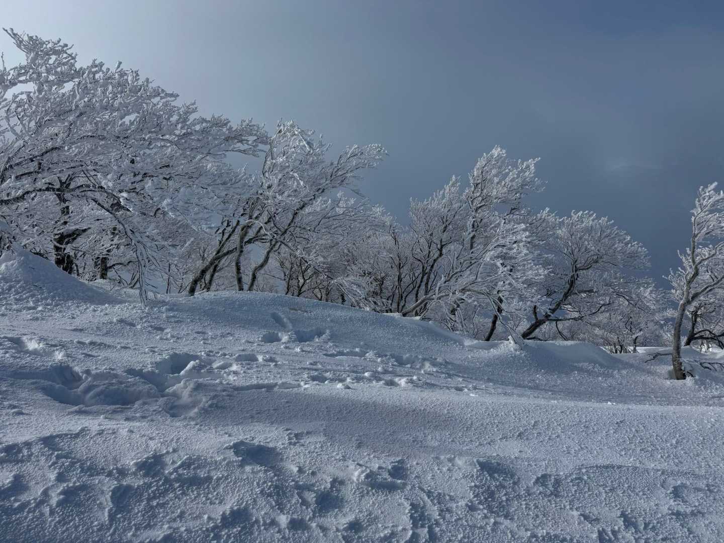銀杏峯登山口-名松新道登山口-銀杏峯 往復コースの写真