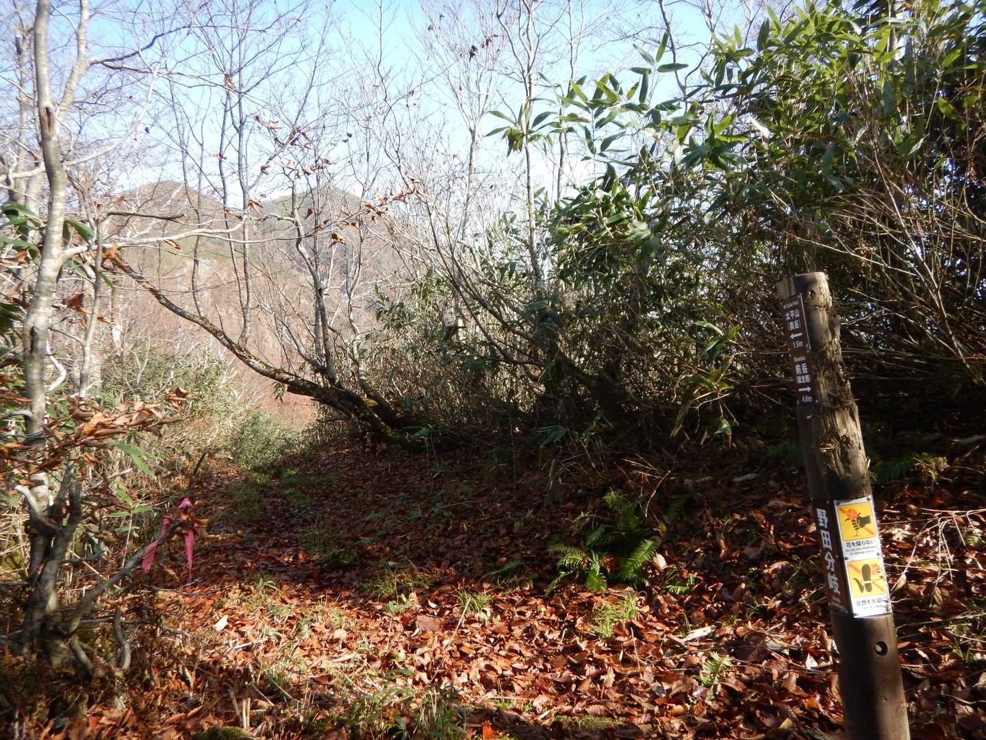 野田分岐
