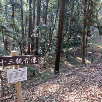 三十三観音像
古い道沿いに三十三の観音像が並べられてる