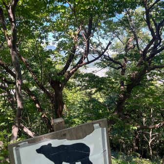 熊出没注意の看板の向こうに札幌の市街地が見える