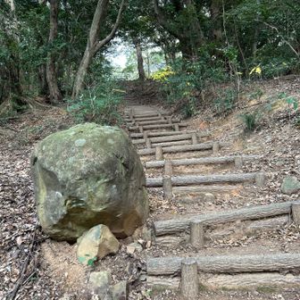 何回も往復するんですよ〜💦(≧∀≦)良い運動になります💪